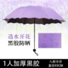 [开花伞紫色]