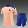 2526 french powder training set