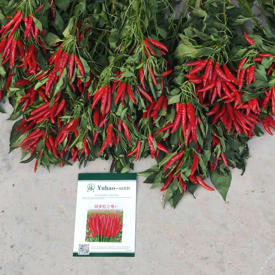 baf8a67a2886645377ae4323617c29