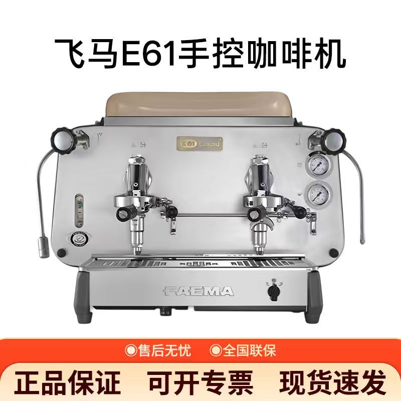 Pegasus E61 S2 Hand Control Single Head Double Head Commercial Espresso Machine Imported from Italy