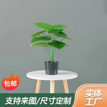 ����Gֲ�������lֲ���辰�[�����ܾGֲ�bӼҔ[������G�~�辰