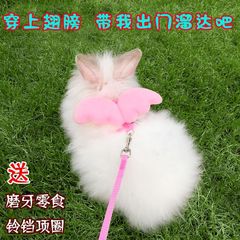 Rabbit traction rope, Dutch pig walking rabbit rope, rabbit rope to prevent breaking away, rabbit slipping supplies, vest type chinchilla rope, drop shipping