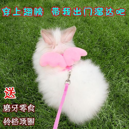 Rabbit traction rope, Dutch pig walking rabbit rope, rabbit rope to prevent breaking away, rabbit slipping supplies, vest type chinchilla rope, drop shipping
