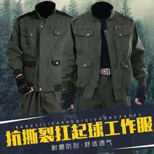 �Ӻ�б�y늺��������C��ĥ�ڱ��������������b�ﶬ�����ع��b