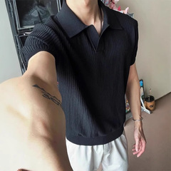 オールドマネースタイルカモメ襟ポロシャツ半袖メンズ夏ハイエンドカフスTシャツアイスシルクニットセーター半袖