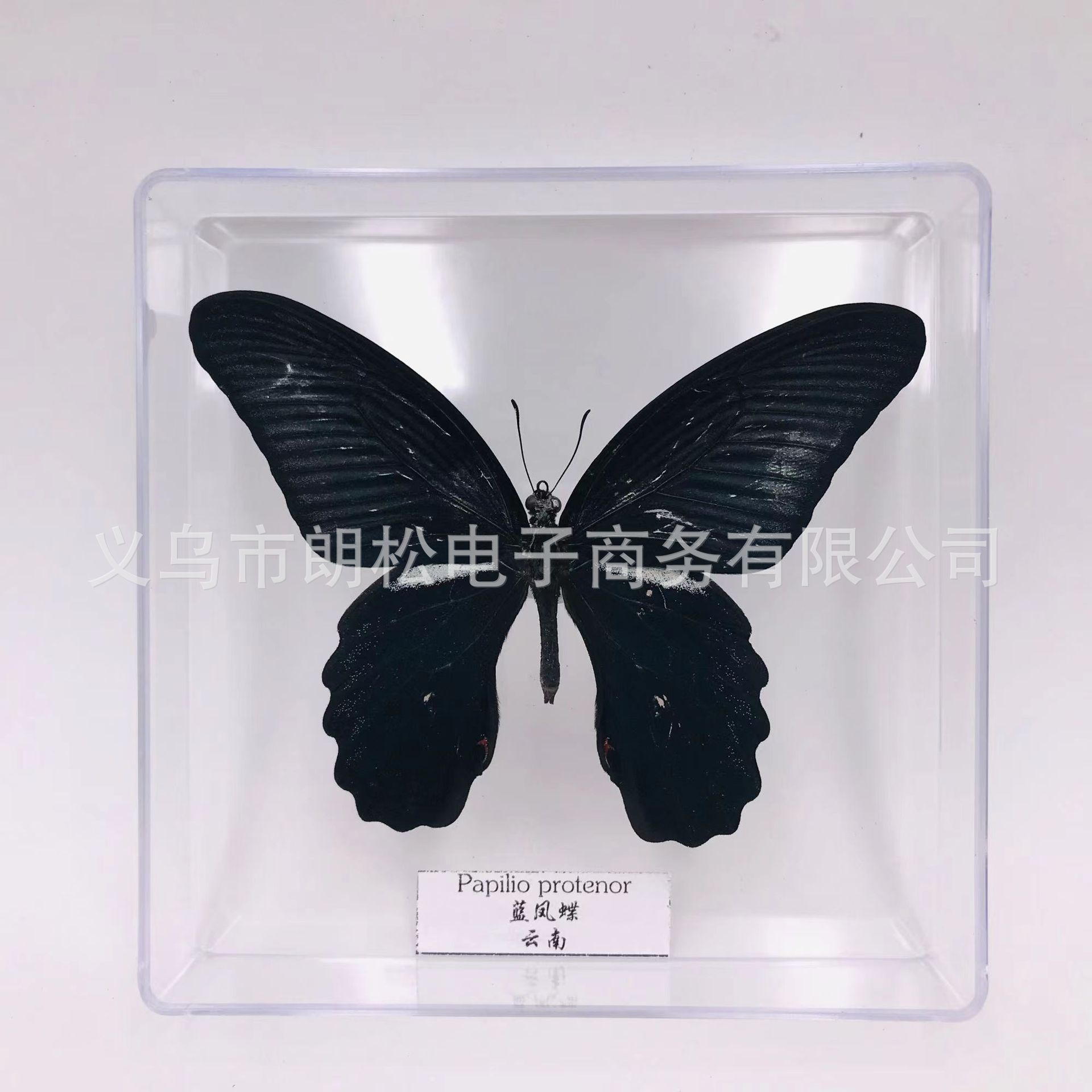 4850acb7a1a8d88024969185658df3