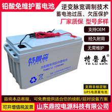 ����ɭTLS100-12̫����U����늳�12V100AH������UPS���x�������