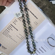 莫兰迪大溪地10.9-12.0mm黄金点位 正圆强光极微瑕吉尔德四星大证