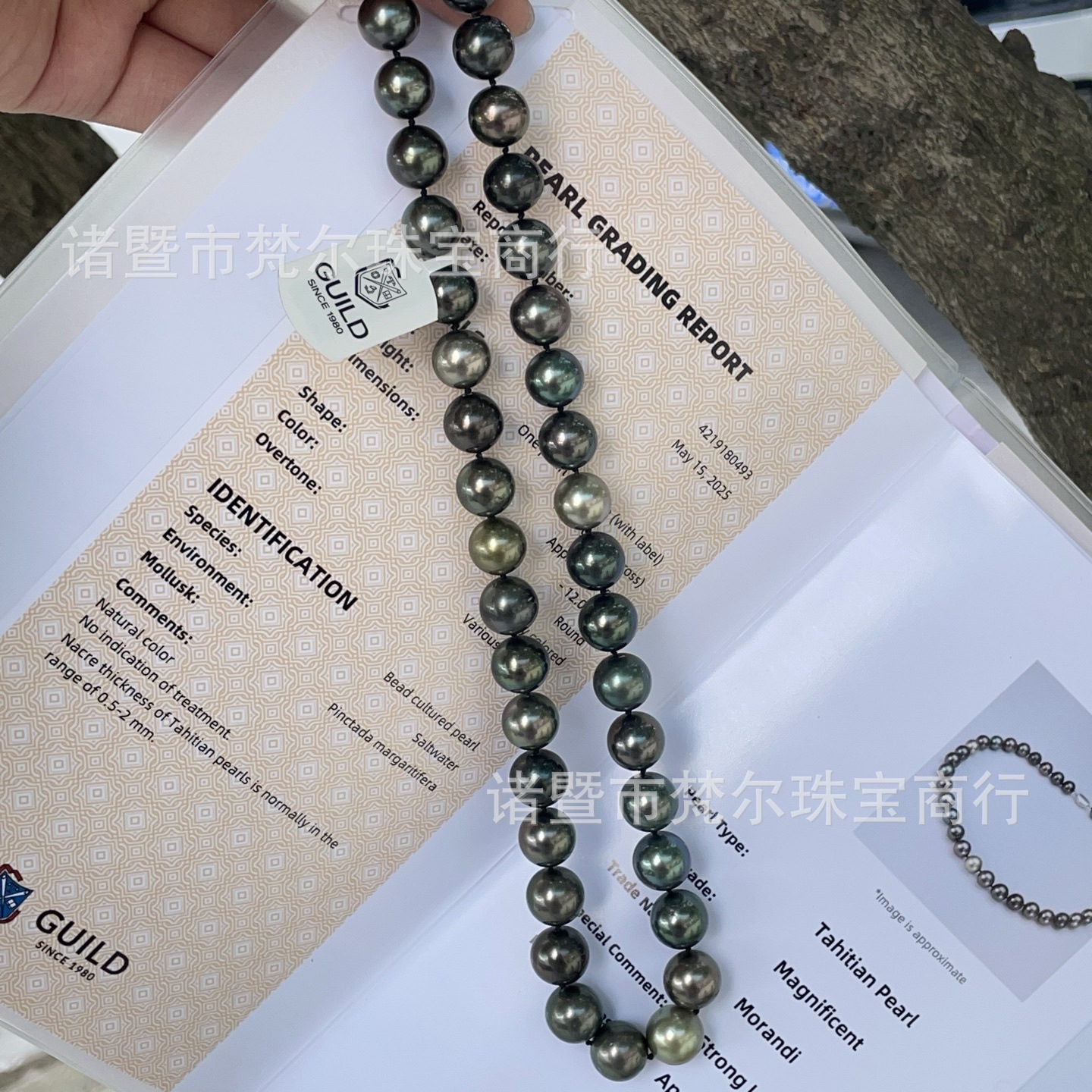 莫兰迪大溪地10.9-12.0mm黄金点位 正圆强光极微瑕吉尔德四星大证