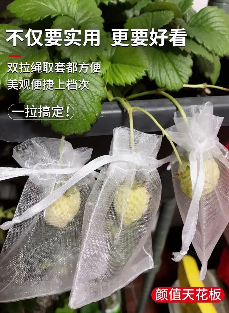 93bf4437-39e1-4e79-9bf5-8acf5496a101.jpe