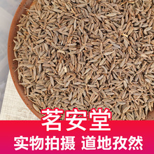 lɢb500gȻ  Ȼ۟⿾⿾{պ{ζ