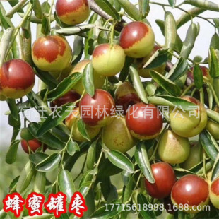 ���ۗ��������󗗳����Ϸ������Nֲ�޽ӗ���������ͥԺ���Թ���