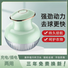 2025ë޼ʽ·ëëCȥë