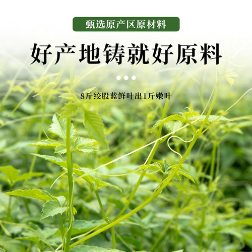 Canned 150g Gynostemma Tea Substitute Bulk Seven-Leaf Gynostemma Tender Shoot Herbal Tea Gynostemma Tea