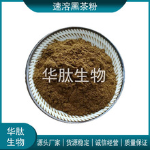 黑茶粉99% 速溶黑茶粉 黑茶提取物 湖南安化黑茶粉 用於固體飲料