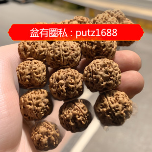 ��������������P�����ԭ����DiWang���l÷������������ӱP��
