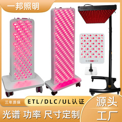 600W红光理疗灯美背运动健身房医院宠物智能脉冲LED红外线光疗灯