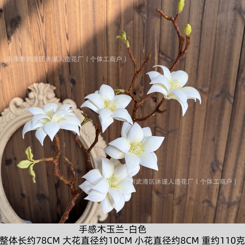 촉감이 좋은 목련