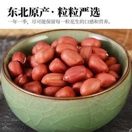 超市红皮花生600g罐装新货东北花生米生花生米 散装红衣