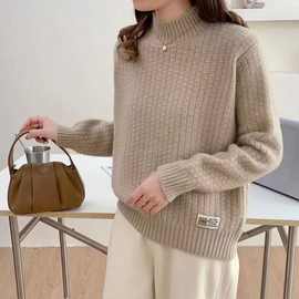 一体绒半高领学生毛衣女加厚2024宽松秋冬上衣百搭打底衫