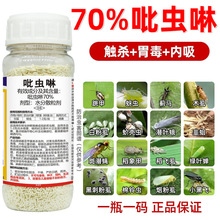 70%吡虫啉蔬菜果树花卉植物蓟马蚜虫腻虫白粉虱农药杀虫杀虫剂