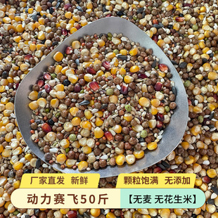 ����ِ����ِ�w50�����Z�oС�� ������ Ӗ�ż��w���wͨ�����ӼZ
