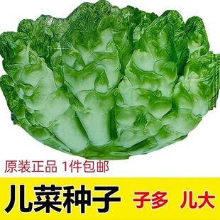 ���l�Ĵ��خa�۴����˷N��ѿ�˴��^���ﶬ�ļ����޲����ե�˷NZ