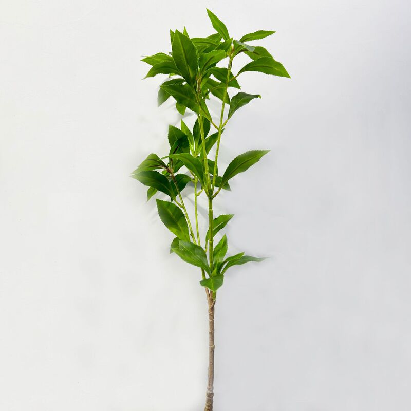 緑植馬酔木室内客間に偽の枝葉を飾る緑植着地装飾シミュレーション植物鉢植え|undefined