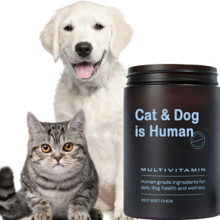 Cross border pet snacks cats and dogs are friends of human beings