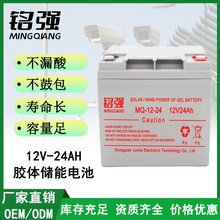 消防應急燈蓄電池戶外照明燈滅蟲燈膠體鉛酸電池太陽能可充電電瓶