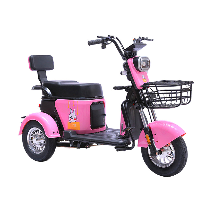 Dingzhi Heavy Load 600 kg Customizable Color Household Electric Tricycle (Auto Parts and Accessories) - 600w-bare-vehicle
