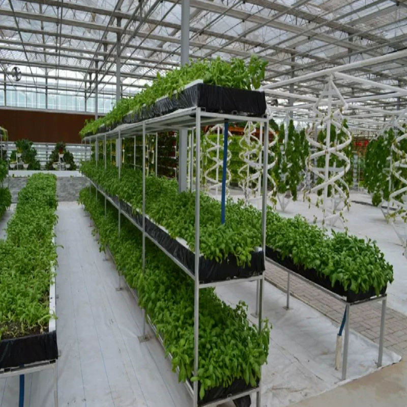 Сычуаньский производитель, прямые продажи, гарантия качества, беспочвенное выращивание, гидравлическая глубокая циркуляция раствора, трёхмерная посадочная стена, ПВХ посадочный резервуар