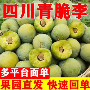 �Ĵ������Ó���������rˮ�������ˬ������봨���Ӵ����������