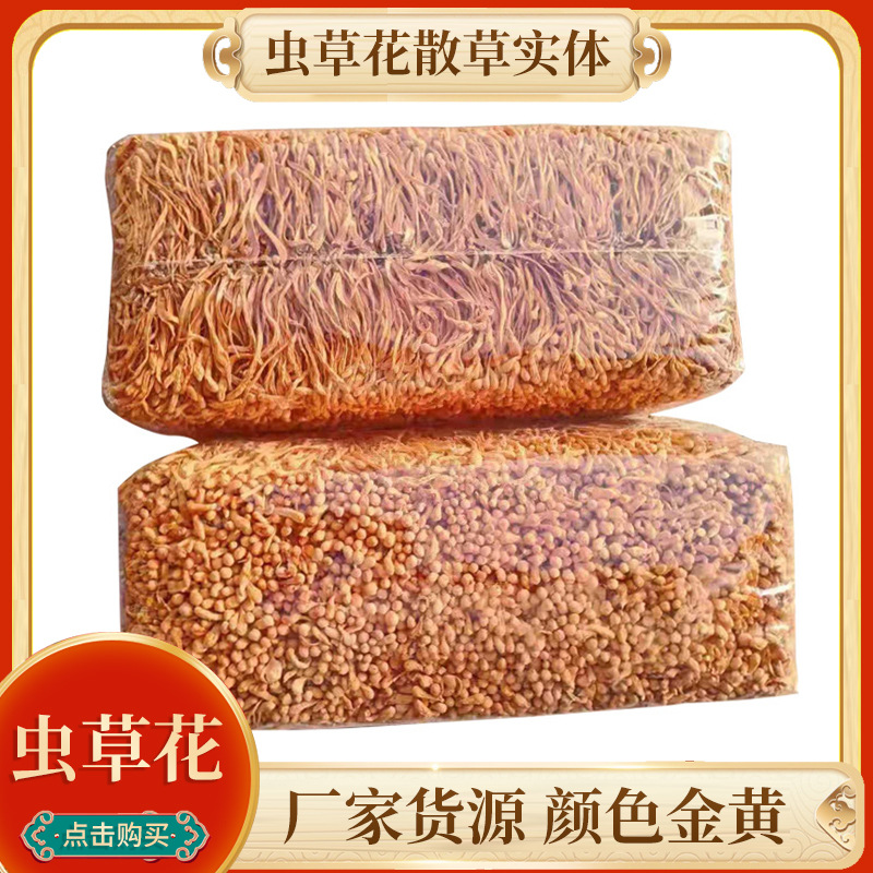 散装系列冷藏虫草花散草实体 内蒙晾晒菌菇干货 煲汤烹饪食补材料|ms