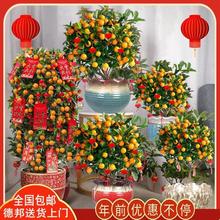 ��ۘ����Կ͏d���玧���ش����ļ��ۺ��B����҃�ֲ���������辰