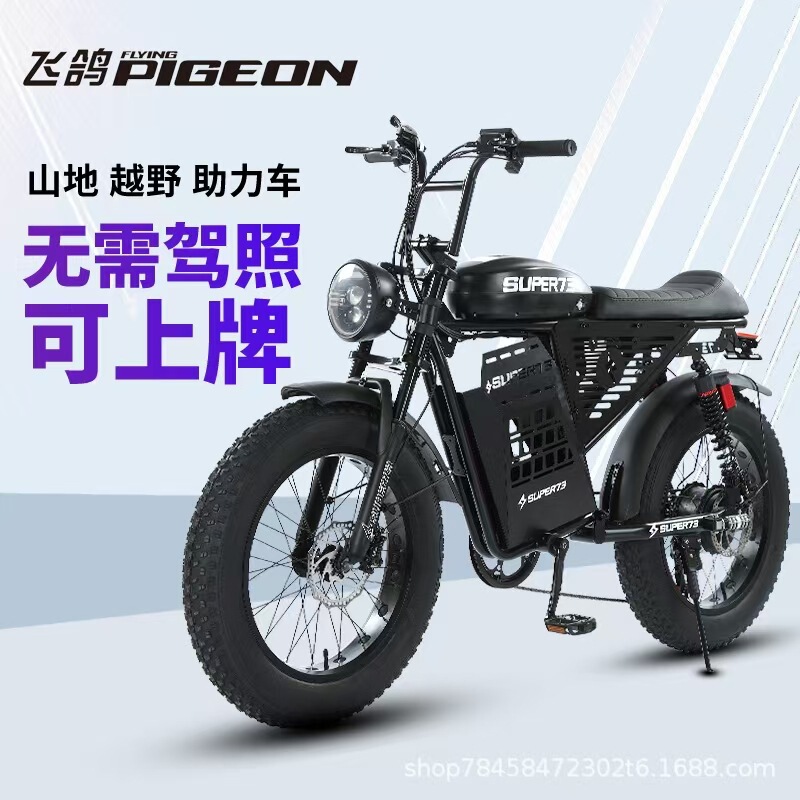 Feige Super73 Same Model Electric Bicycle for Beach, Snow, Off-Road, Adult, Student, Mountain Use, with Power Assist and Battery Feige Super73 Same Model Electric Bicycle for Beach, Snow, Off-Road, Adult, Student, Mountain Use, with Power Assist and Battery