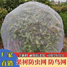 ���x�W�ּ��W���җ�÷�{ݮɏ�F������B����ω����Ⱦ�W��͸��͸��