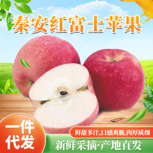 紅富士蘋果酥脆甜爽多汁新鮮水果一件代發廠家
