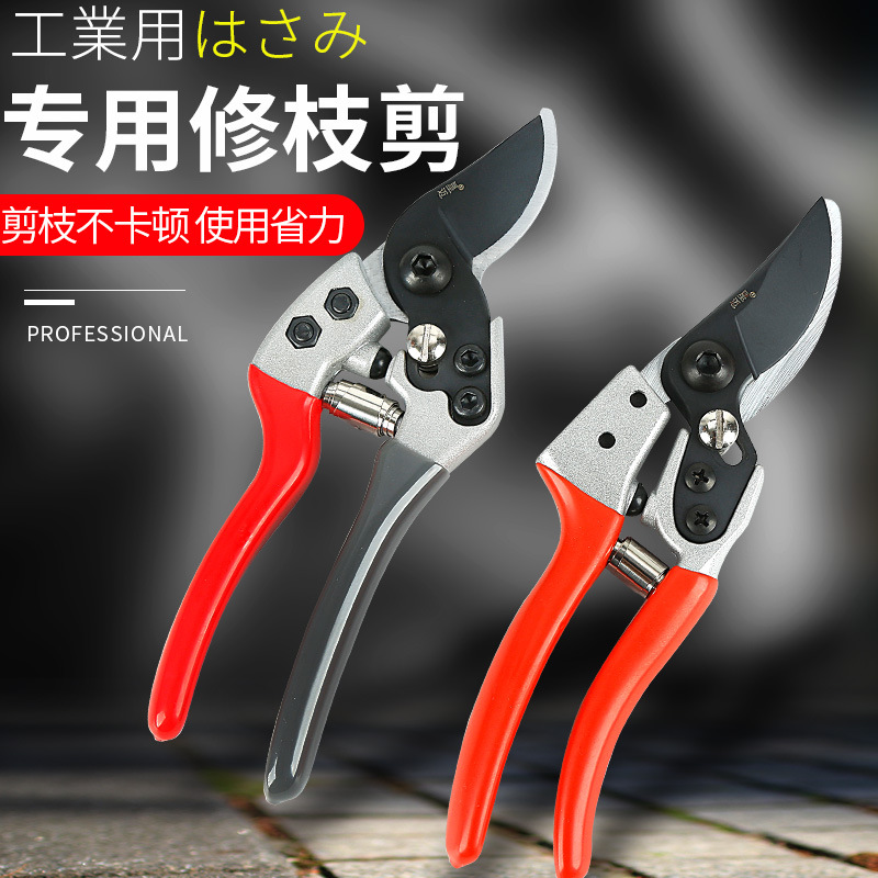 独一张果枝剪 园艺柄果枝树枝剪省力果树修枝剪 高档园林剪果枝剪