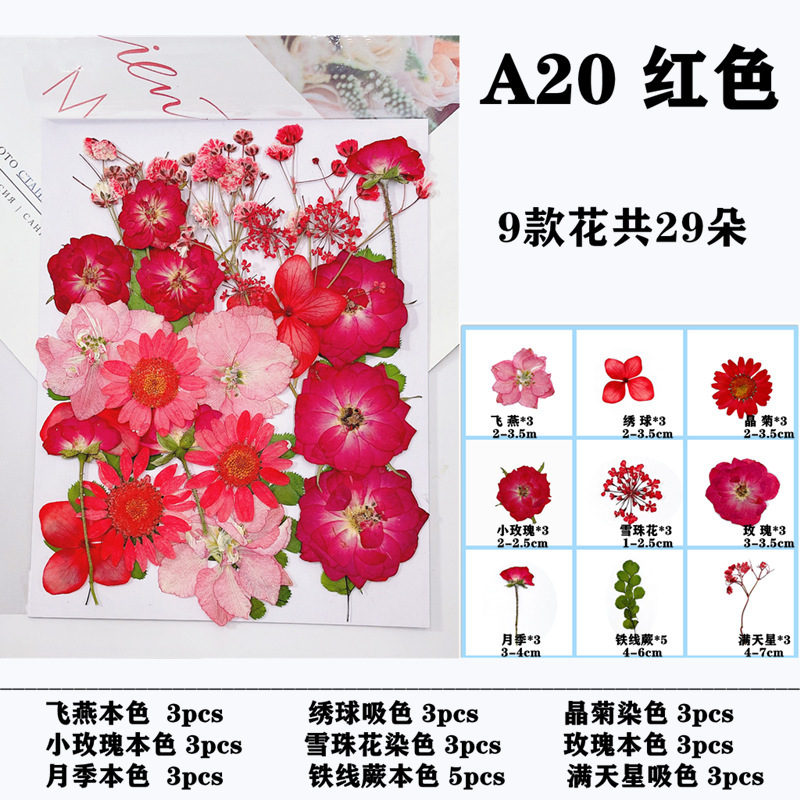 干花压花材料包 diy押花相框书签滴胶手机壳脸部贴花真花植物标本|undefined