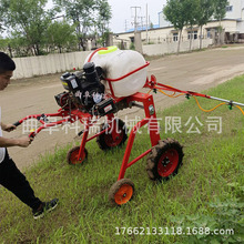 ����ʽ��ș�C ����Ʒ�Ƽ��L���U�����^ �ַ�����ʽ��݆��ș܇