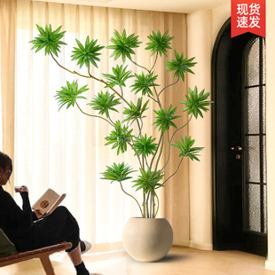 �ٺ������Gֲ���Դ����҃��b��[���͏d��ؘ�߼�������ֲ��