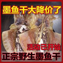 墨鱼干新晒野生乌贼目鱼干墨斗鱼干货代发厂家批发厂家直销