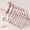 [Advanced Recommendation for Beginners] 10 Pack - Exquisite Makeup