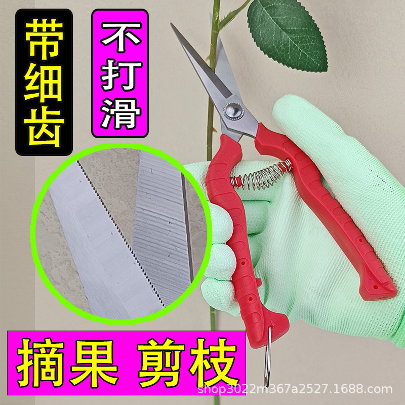 德奥摘果剪细枝剪葡萄剪园艺剪刀修枝剪花艺剪藤蔓采果剪鲜花剪刀