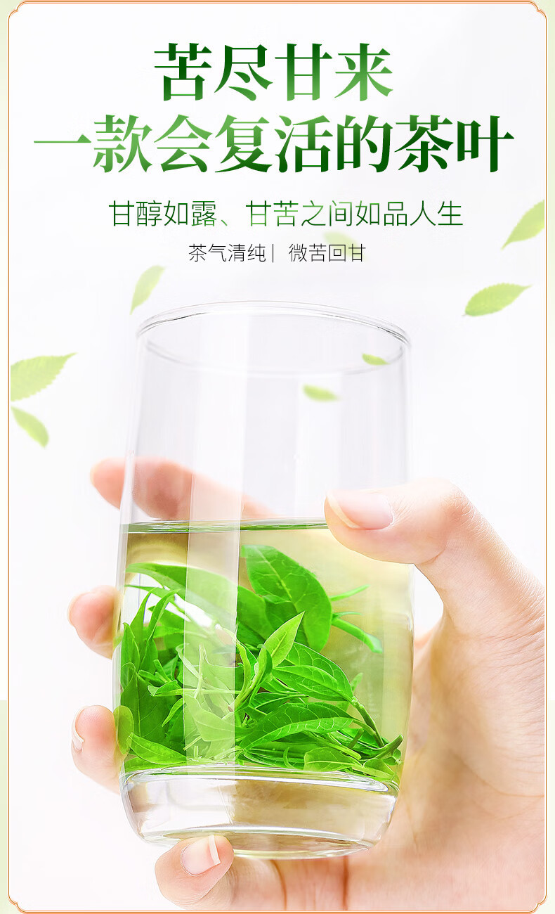 Small Leaf Kuding Tea Ku Ding Cha Premium Pre-Qingming Tender Buds Loose Herbal Tea 40g Canister in use