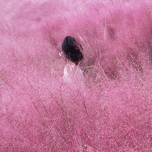 ����y�Ӳݻ���ëâ�y�Ӳݻ��N�Ѻ�������ͥԺ���ܶ������^�p�W�t