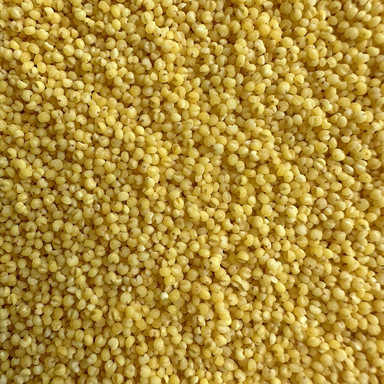 Shell-Less Пшено Птица Жемчуг Птица Тигровая шкура Попугай Пшено Корм Яйцо Просо сырье