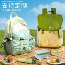 端午节粽子礼盒装员工礼品福利定.制企业团购实用户外露营背包送