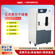 大型立式真空干燥箱工业用高温不锈钢实验室烘箱电热快速干燥设备